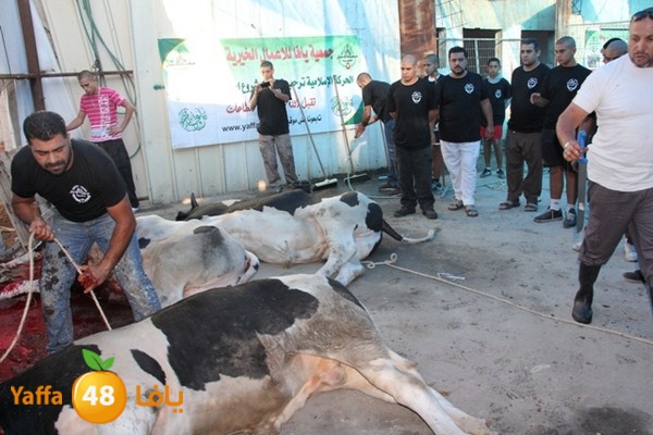 ada7y 116 n1 (7).JPG